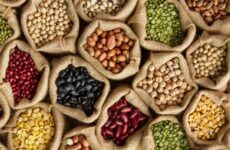 4 Razones para incluir porotos en su dieta para adelgazar