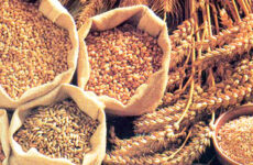 cerealesintegrales