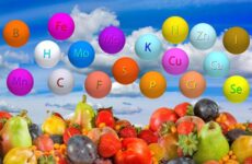 Minerales y vitaminas para bajar de peso